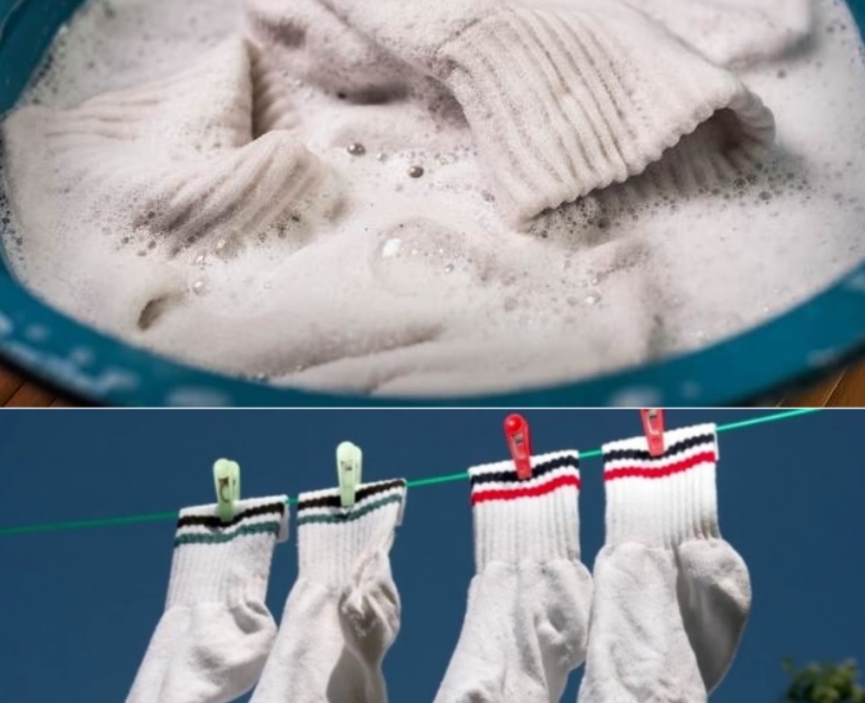 Отмыть носки. Стирка белых носков. Застиранные белые носки. Белые вещи. Отбеливание белых носков.